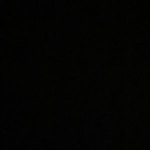 Meet your Posher, Talia